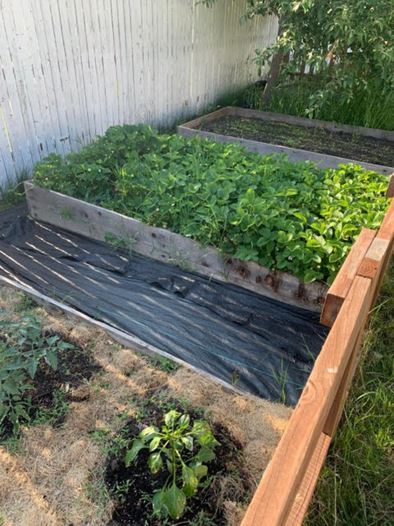 2403 Inca Lane, Saint Paul, MN 55112