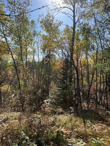 Lot 7 Wilderness Way, Cook, MN 55723
