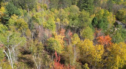 Lot 7 Wilderness Way, Cook, MN 55723