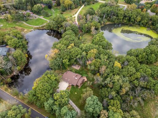 Point of view - you're litterally surrounded by ponds and nature.