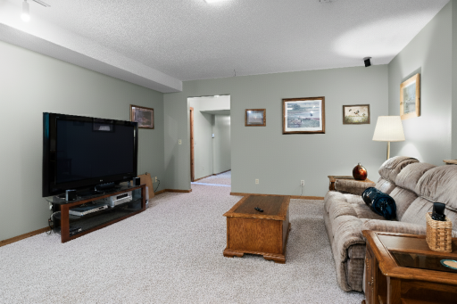 Lower level family room.
