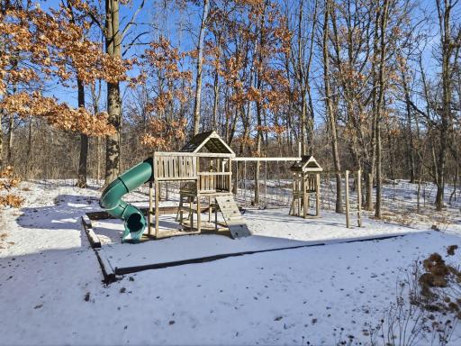 Great play space in the backyard.
