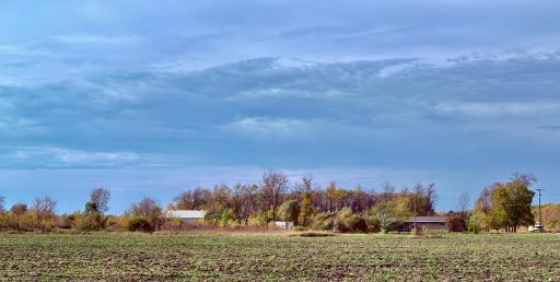 Property from 13th Ave SW (cty rd to east)