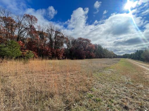 Photo for TBD Tract A Fawn Lake Road, Crosslake, MN 56442 - listing #6798201 TBD Tract A Fawn Lake Road, Crosslake, MN 56442