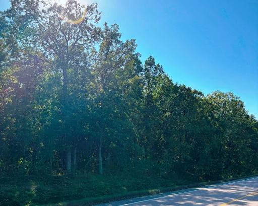 TBD Tract B Fawn Lake Road, Crosslake, MN 56442