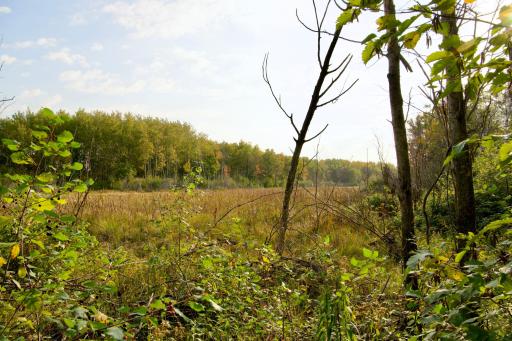 Tract B HWY 371, Brainerd, MN 56401