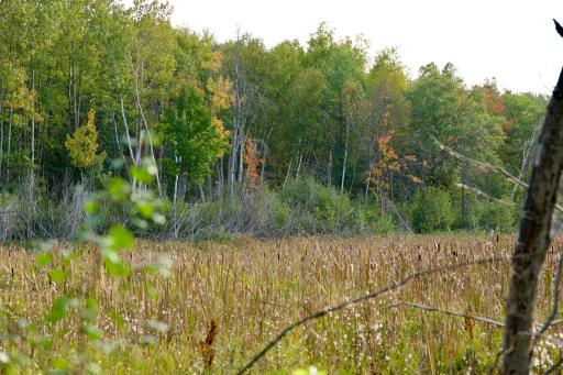 Tract B HWY 371, Brainerd, MN 56401