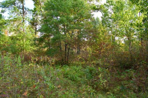 Tract B HWY 371, Brainerd, MN 56401