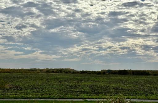 Farm land- view from HWY 11 south