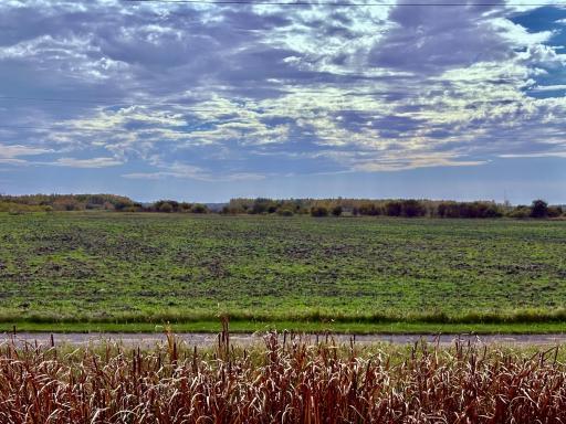 View from HWY 11 looking south- bike path