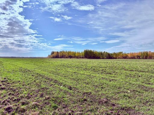 Tillable farm land and wooded hunting land