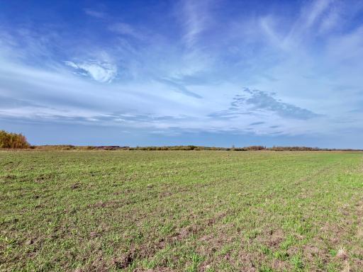 Over 100 acres of tillable