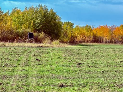 Prime hunting at the south end of property