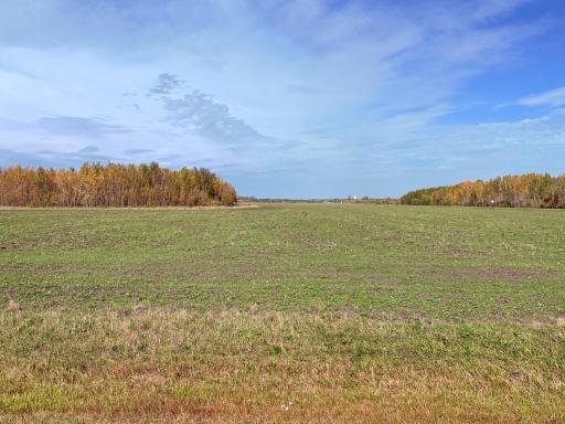 Facing north from 7th St