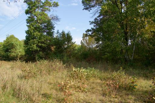 Tract C Hwy 371, Brainerd, MN 56401