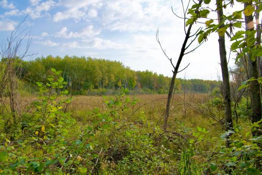 Tract A Hwy 371, Brainerd, MN 56401
