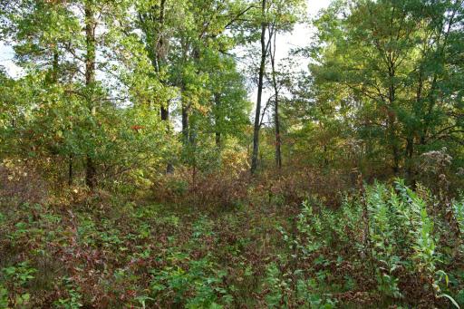 Tract A Hwy 371, Brainerd, MN 56401