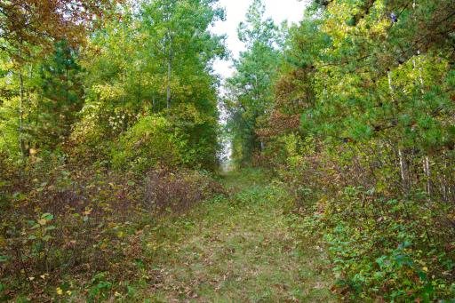Tract A Hwy 371, Brainerd, MN 56401