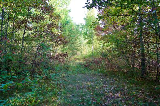 Tract A Hwy 371, Brainerd, MN 56401