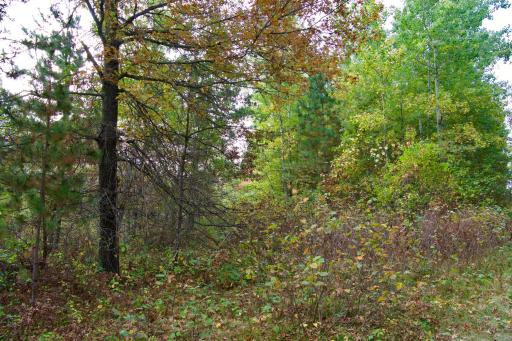 Tract A Hwy 371, Brainerd, MN 56401