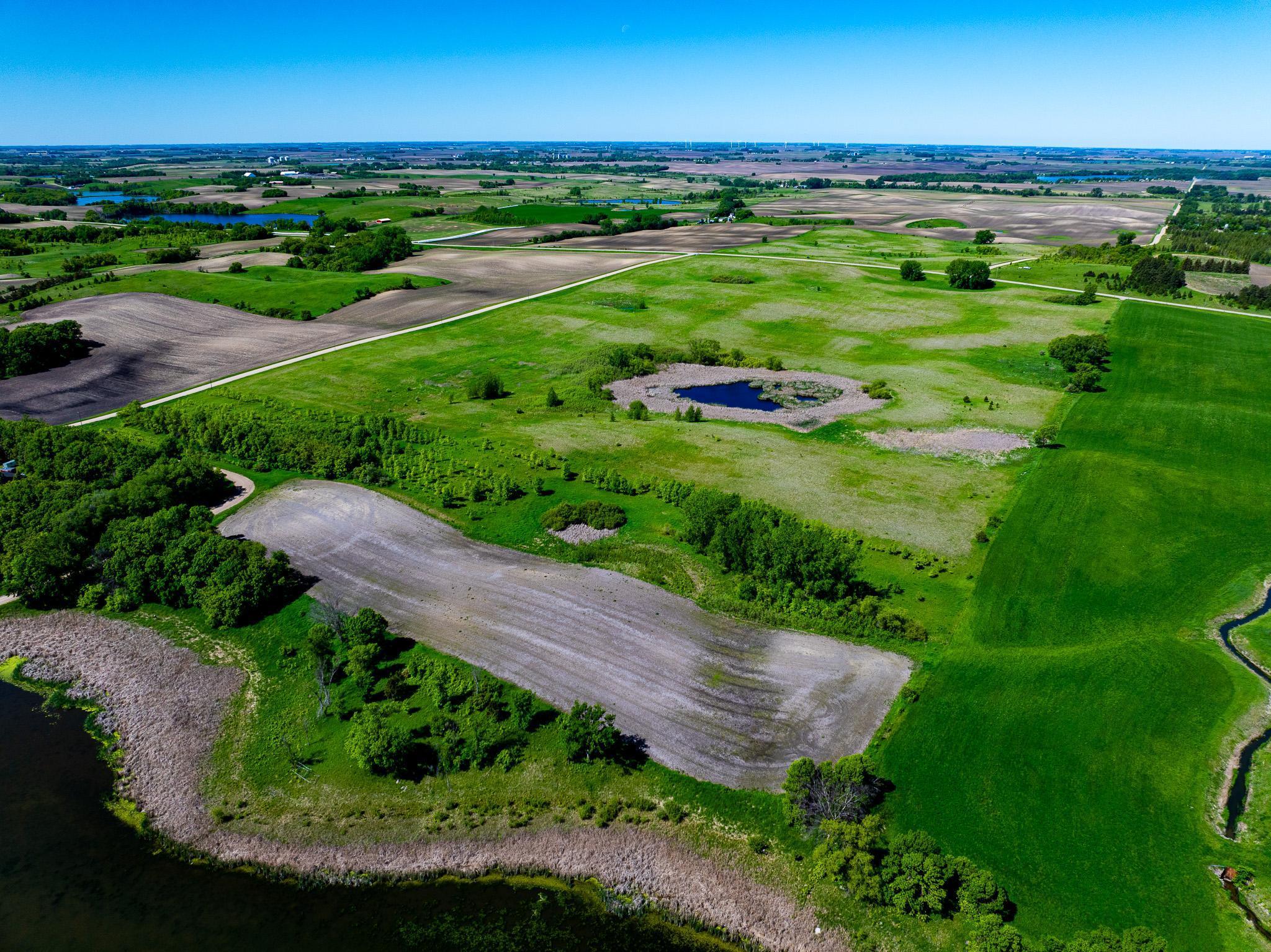 Trees are now planted