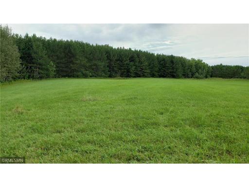 XXXX Easy Street, Deer River, MN 55736