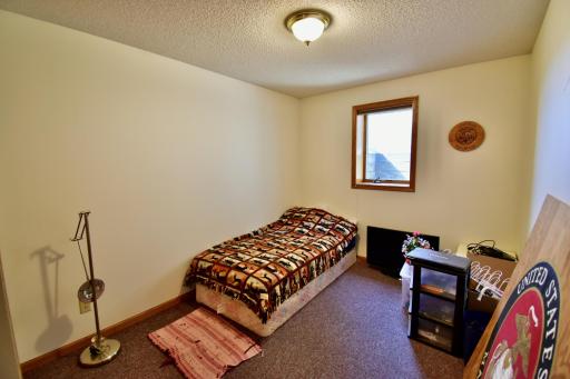 Third lower level bedroom