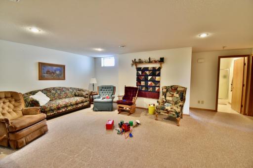 Lower level family room