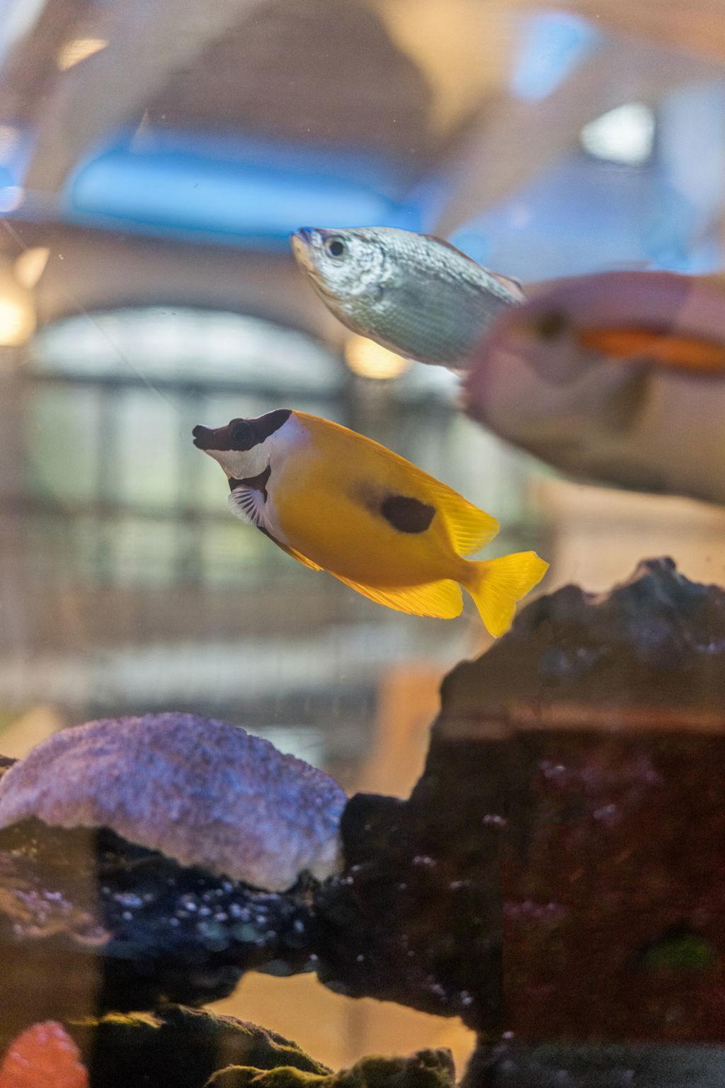 105-web-or-mls-1492 Hunter Dr-105.jpg