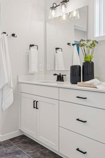 9631 46th Street NE, Saint Michael, MN 55376