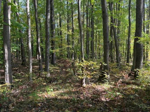 TBD2 Deep Lake Road, Sarona, WI 54870