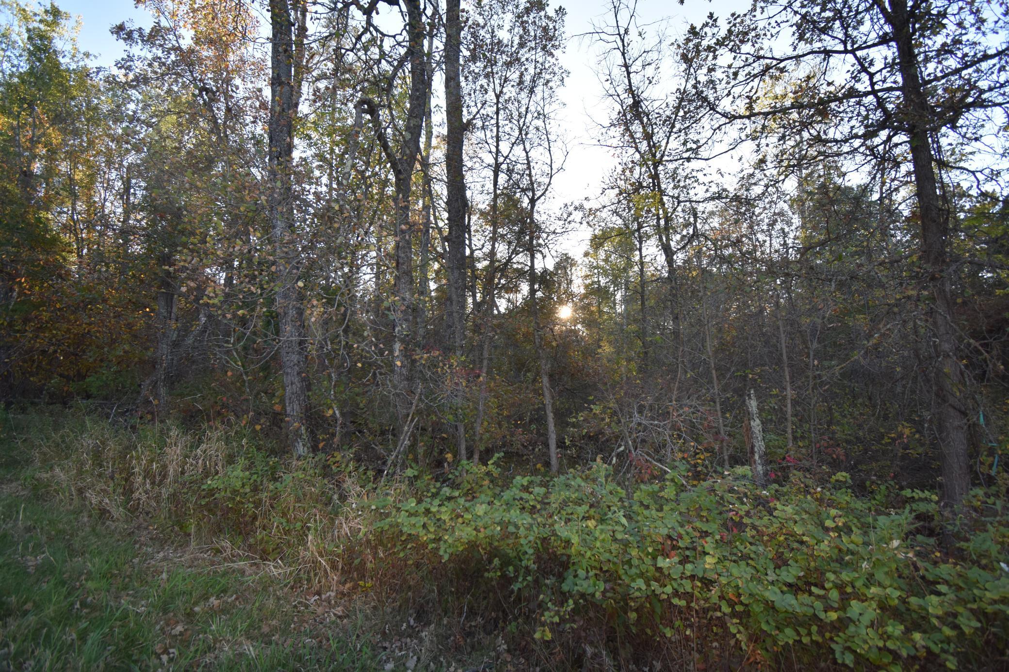 DSC_0294.JPG