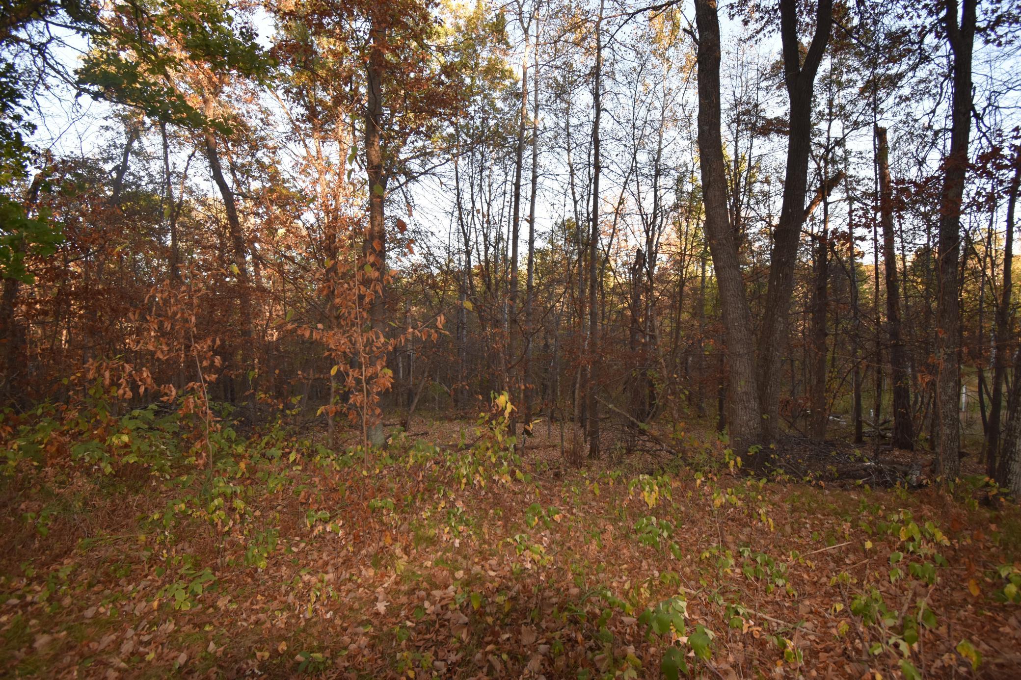 DSC_0298.JPG