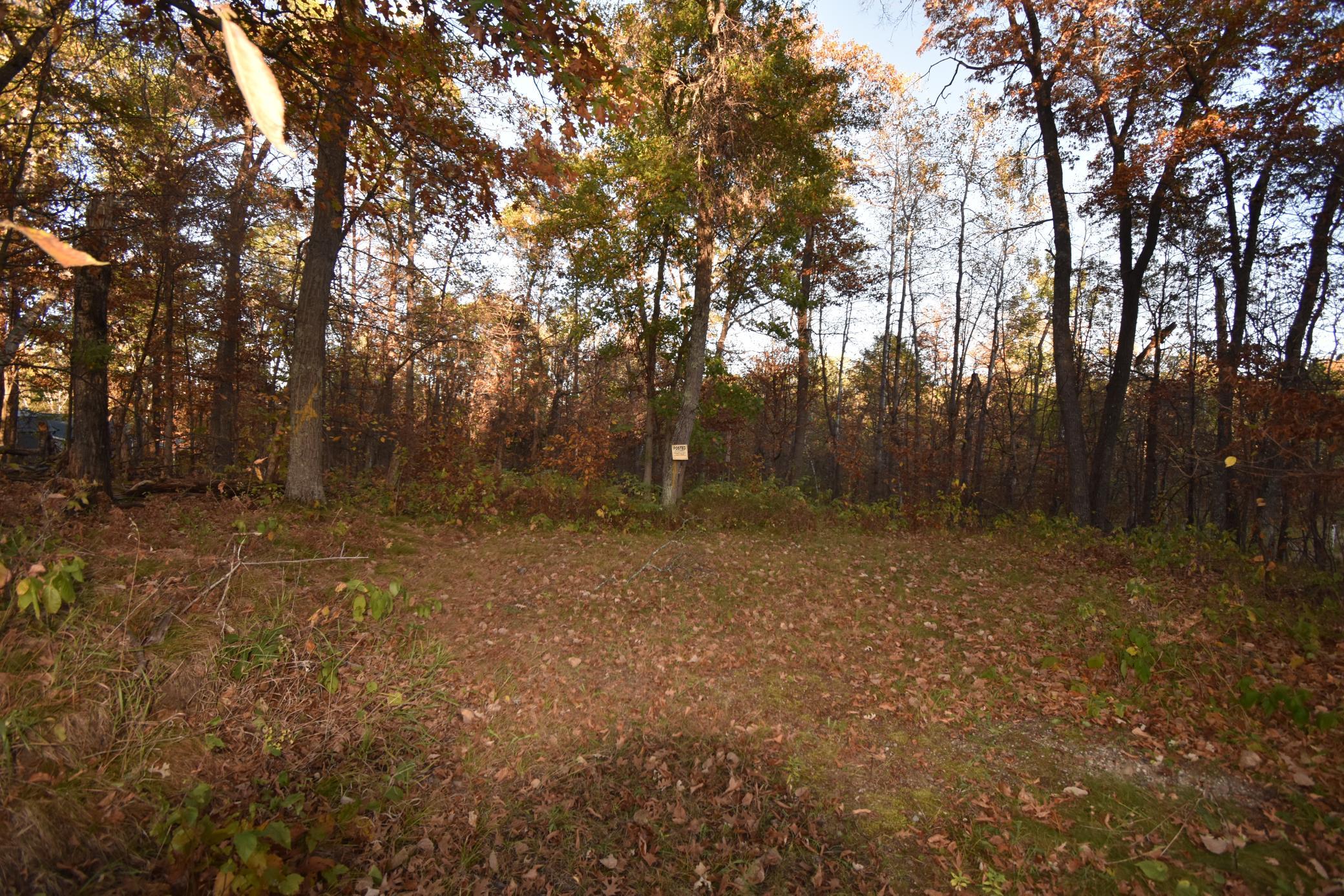 DSC_0299.JPG