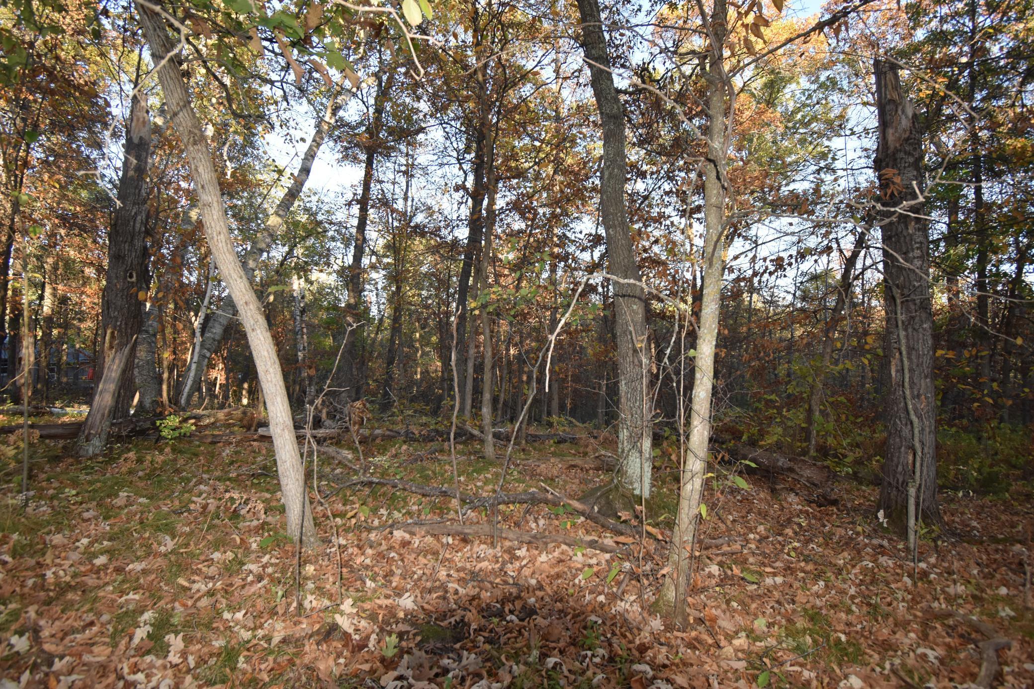 DSC_0296.JPG