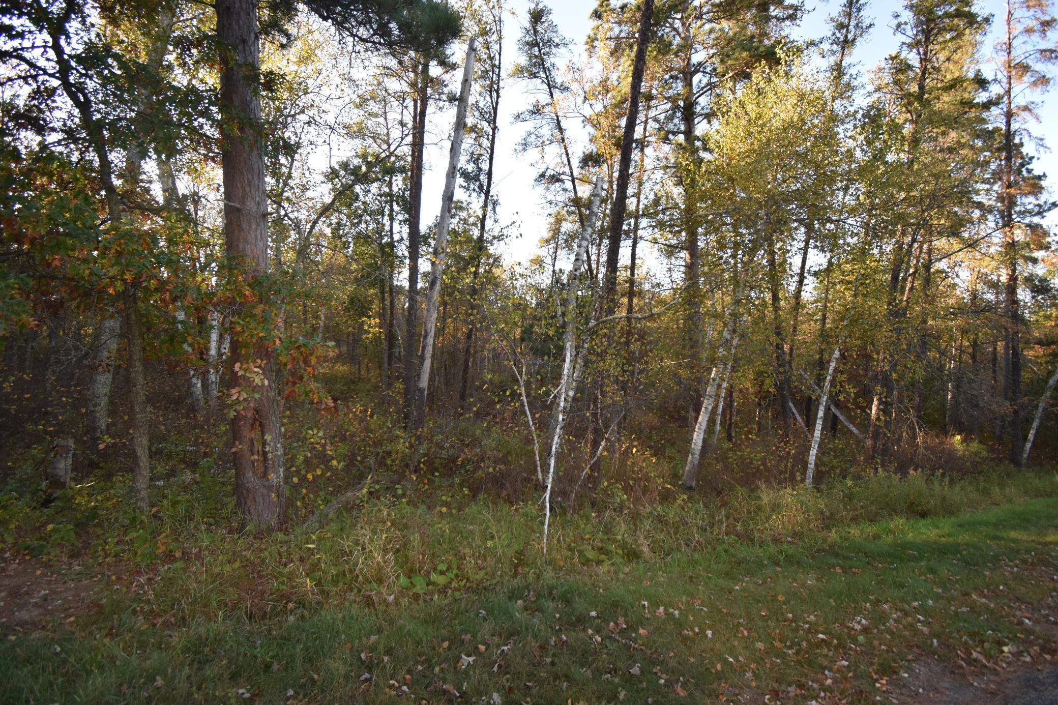 DSC_0291.JPG