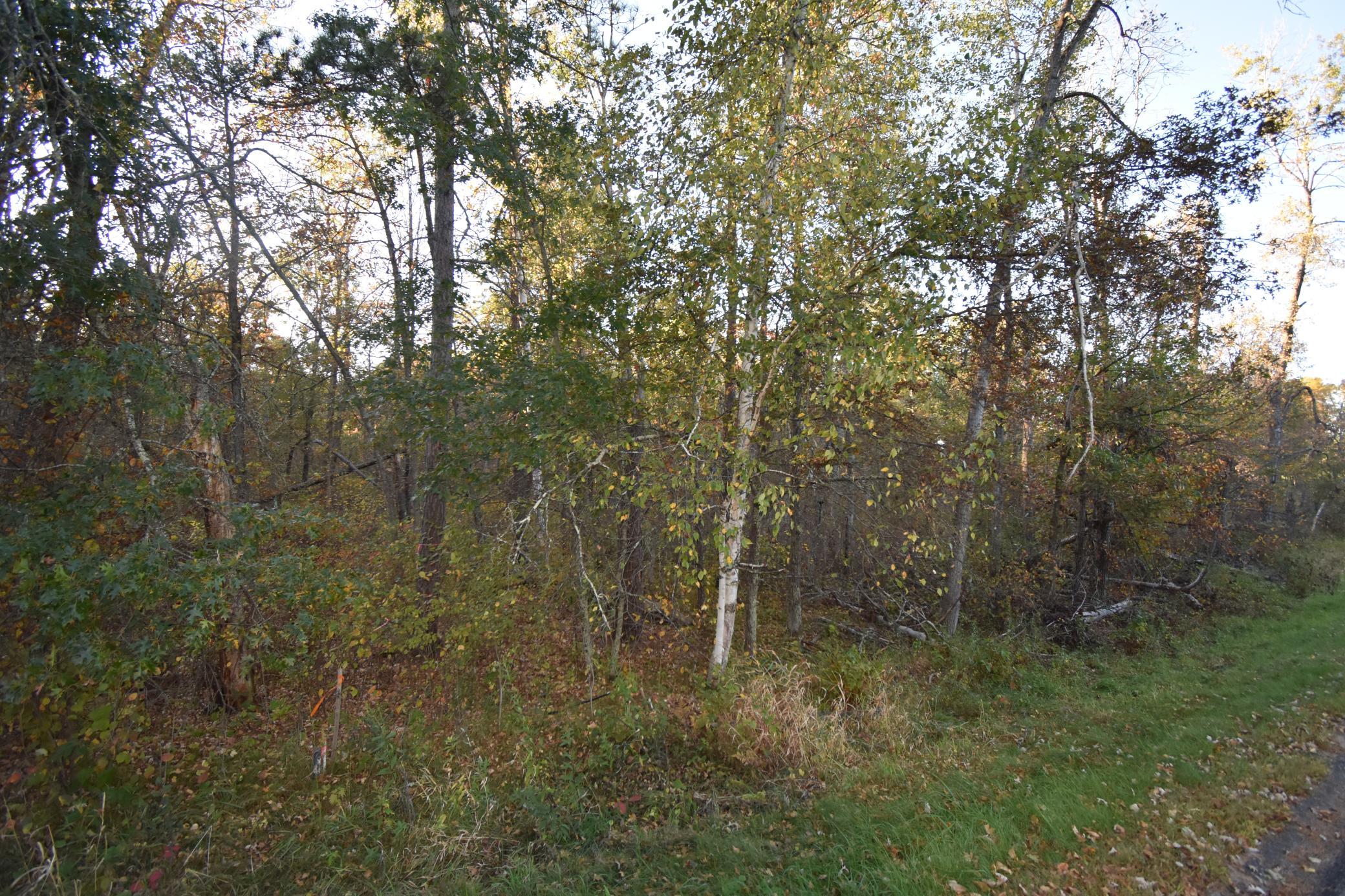 DSC_0293.JPG