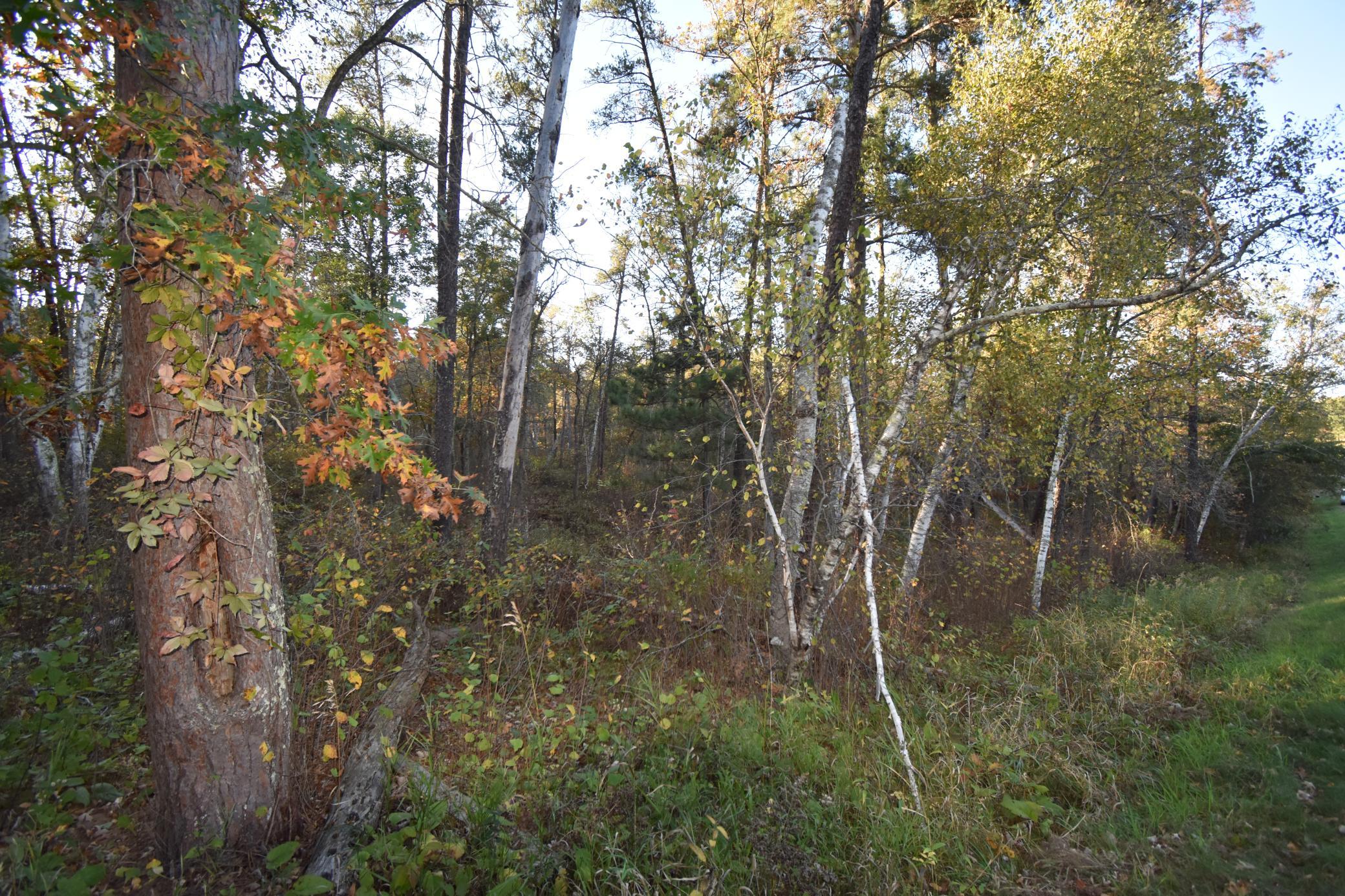 DSC_0292.JPG