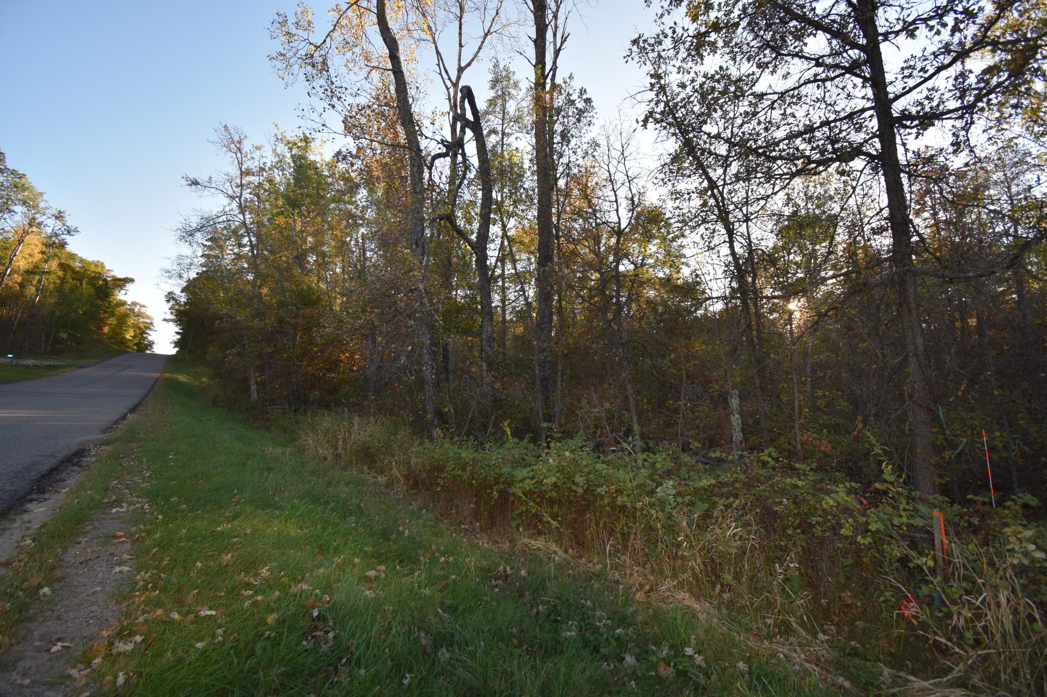 DSC_0288.JPG