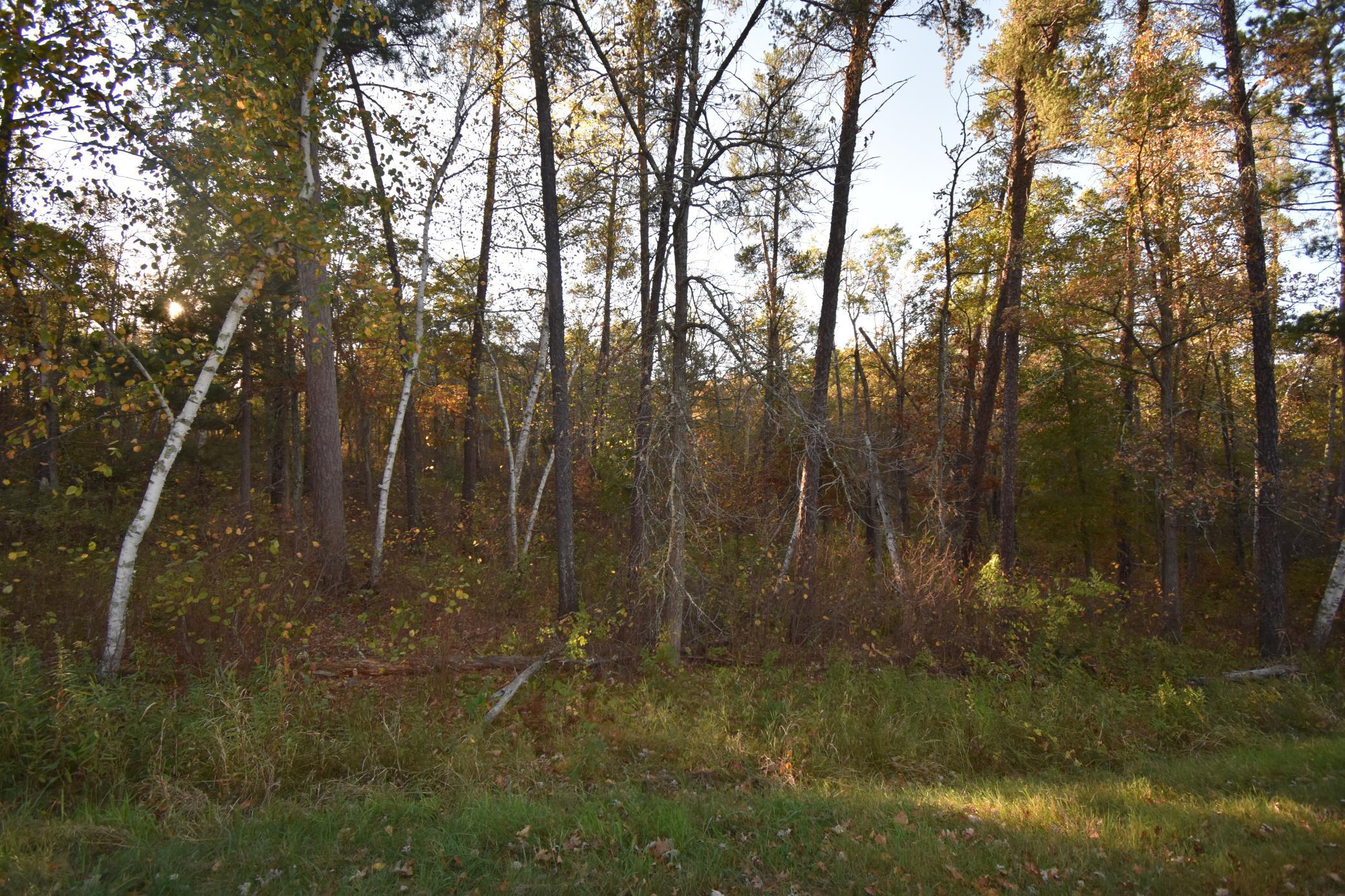 DSC_0290.JPG