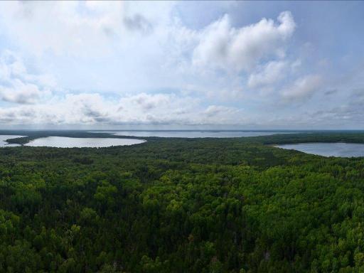 Parcel F Horseshoe Lake Rd, Merrifield, MN 56465