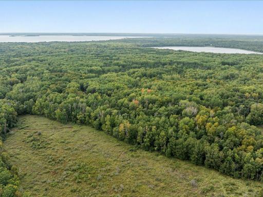 Parcel F Horseshoe Lake Rd, Merrifield, MN 56465