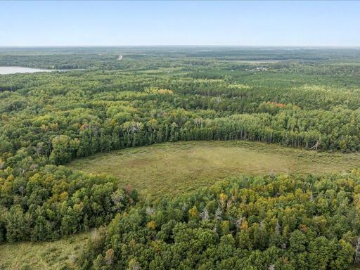 Parcel F Horseshoe Lake Rd, Merrifield, MN 56465