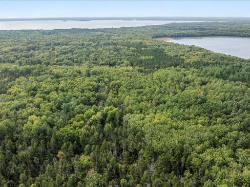 Parcel F Horseshoe Lake Rd, Merrifield, MN 56465