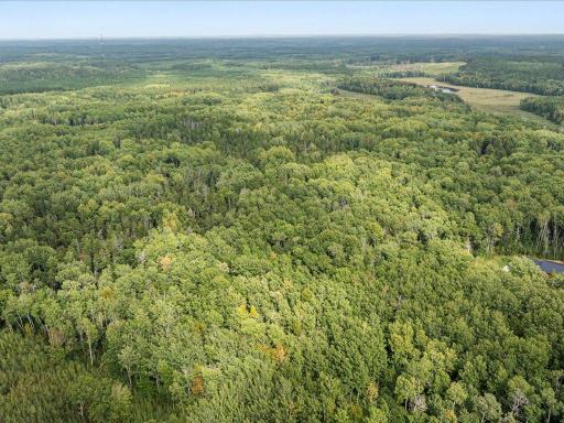 Parcel F Horseshoe Lake Rd, Merrifield, MN 56465