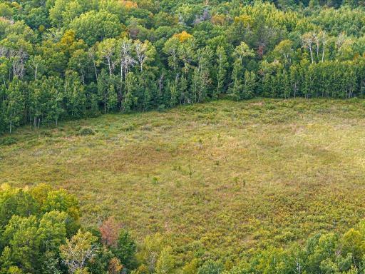 Parcel F Horseshoe Lake Rd, Merrifield, MN 56465