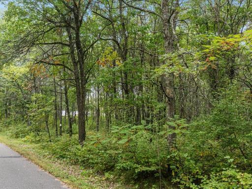 Parcel F Horseshoe Lake Rd, Merrifield, MN 56465