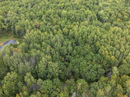 Parcel F Horseshoe Lake Rd, Merrifield, MN 56465