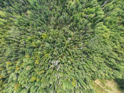 Parcel F Horseshoe Lake Rd, Merrifield, MN 56465