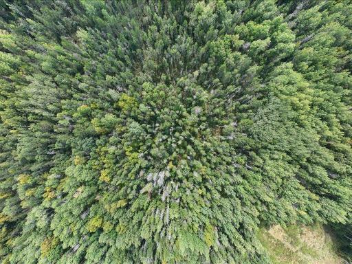 Parcel F Horseshoe Lake Rd, Merrifield, MN 56465